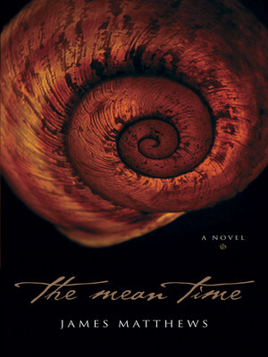 cover image of The Mean Time
